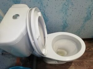 toilet leakage in house
