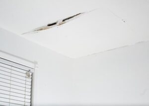 waterproofing contractor needed roof leak
